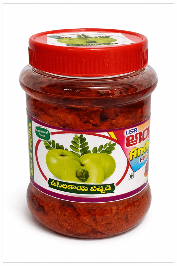 Amla Front Amla Pickle 500gm
